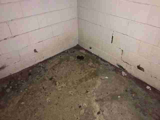 Testing again(56).jpg